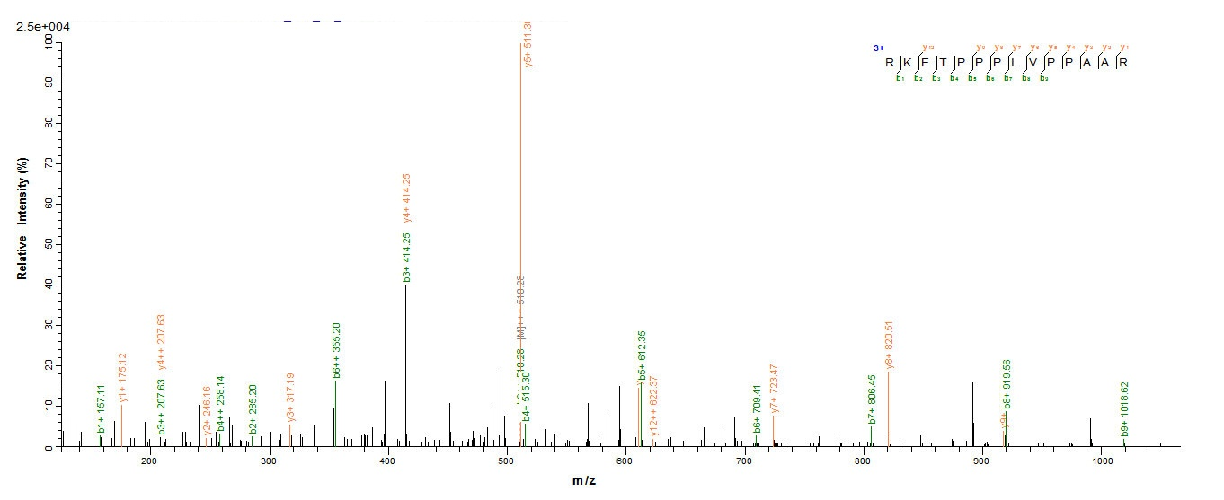 Human WDR77 protein