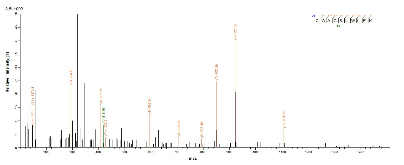 Human WDR77 protein