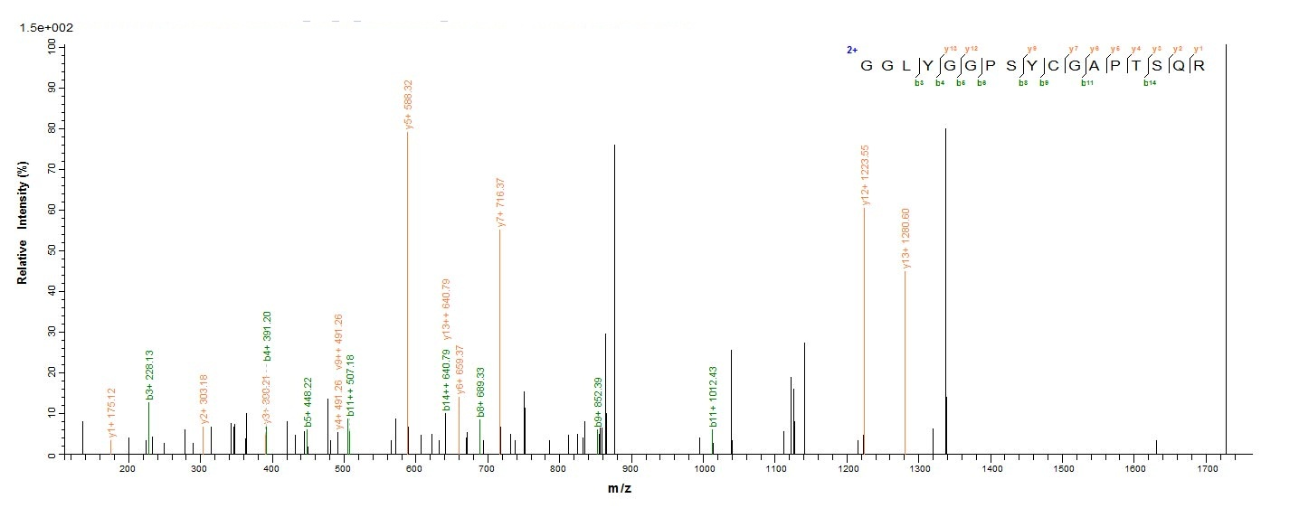 E.coli prpL protein