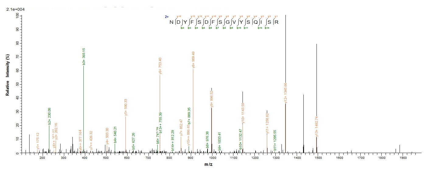 E.coli prpL protein