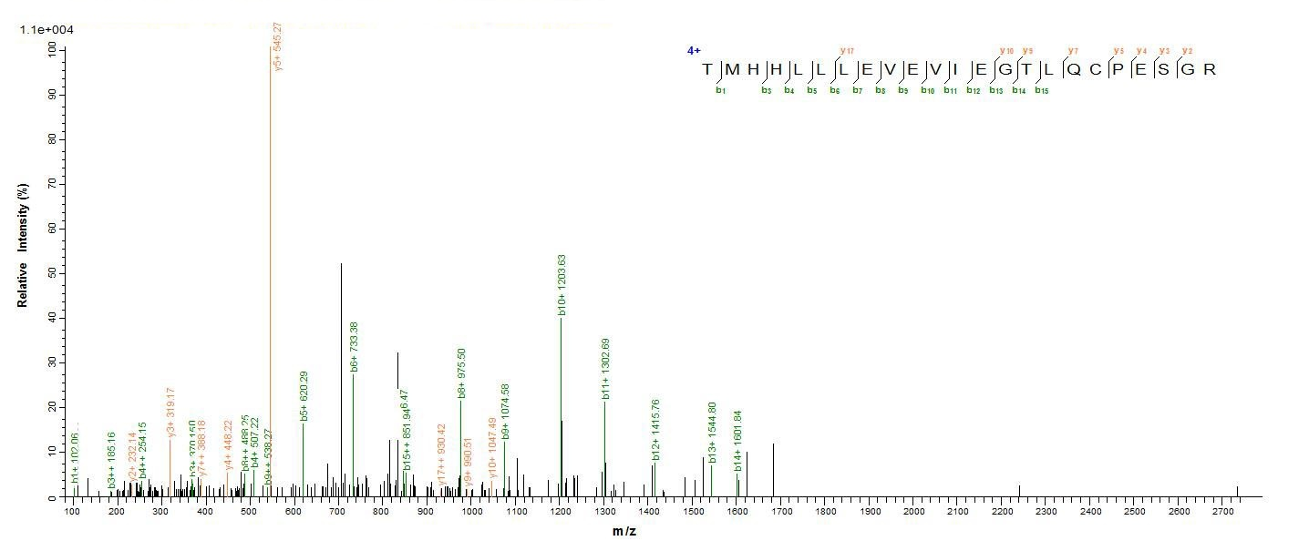 Human TRMT112 protein