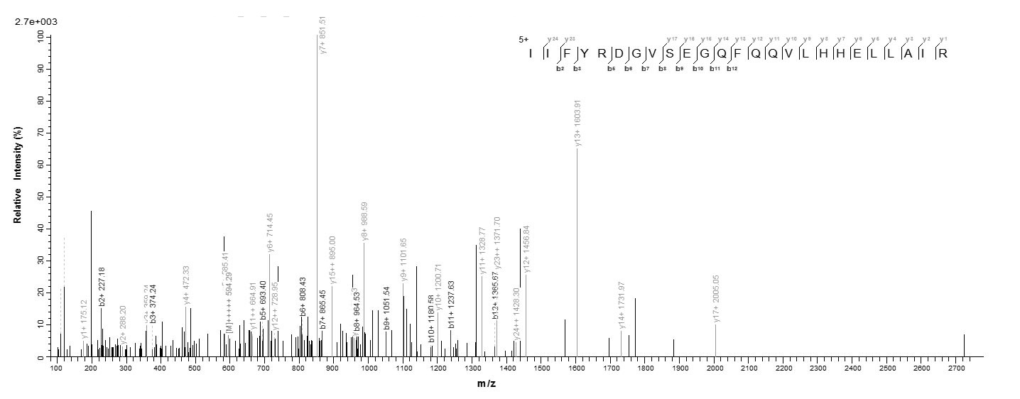 Human AGO2 Partial protein