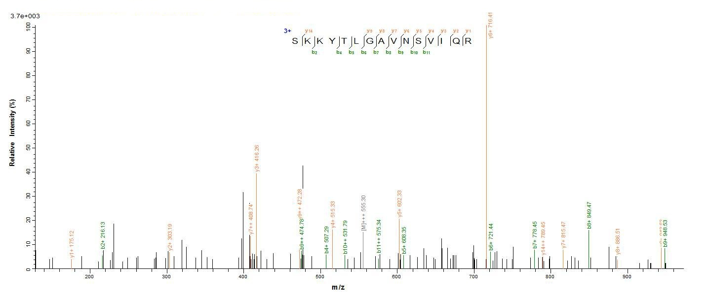 E. coli metC protein