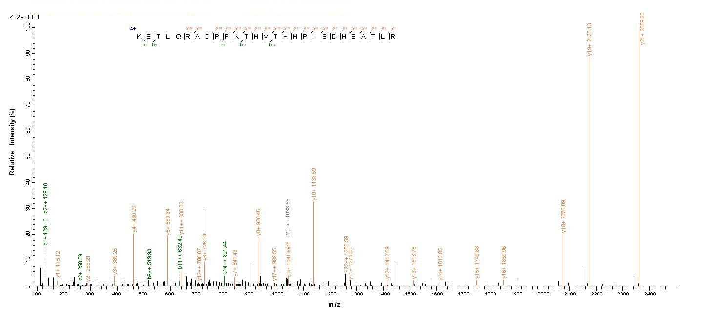 Human HLA-B protein