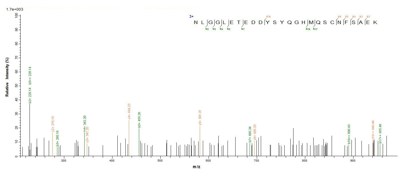 Human CTSF protein