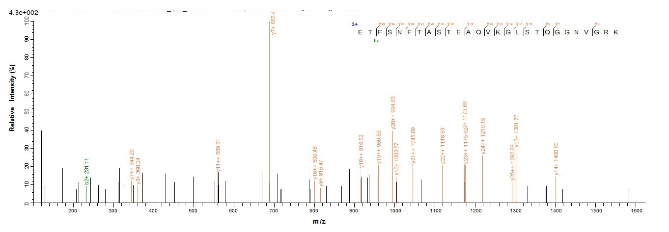 Human ASGR1 protein