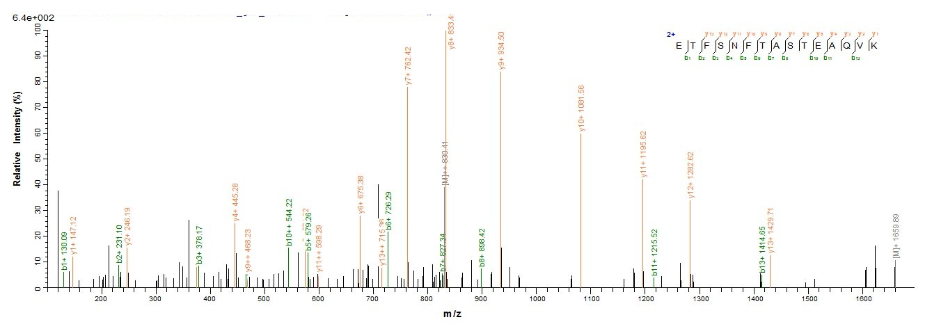 Human ASGR1 protein