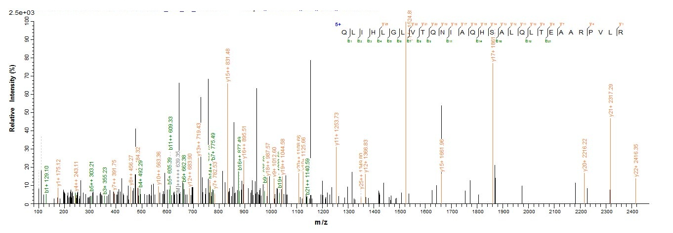 E. coli recQ protein