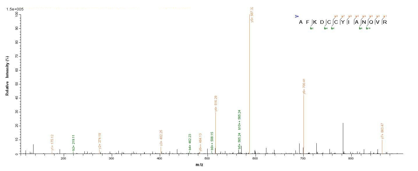 Pig C5 protein