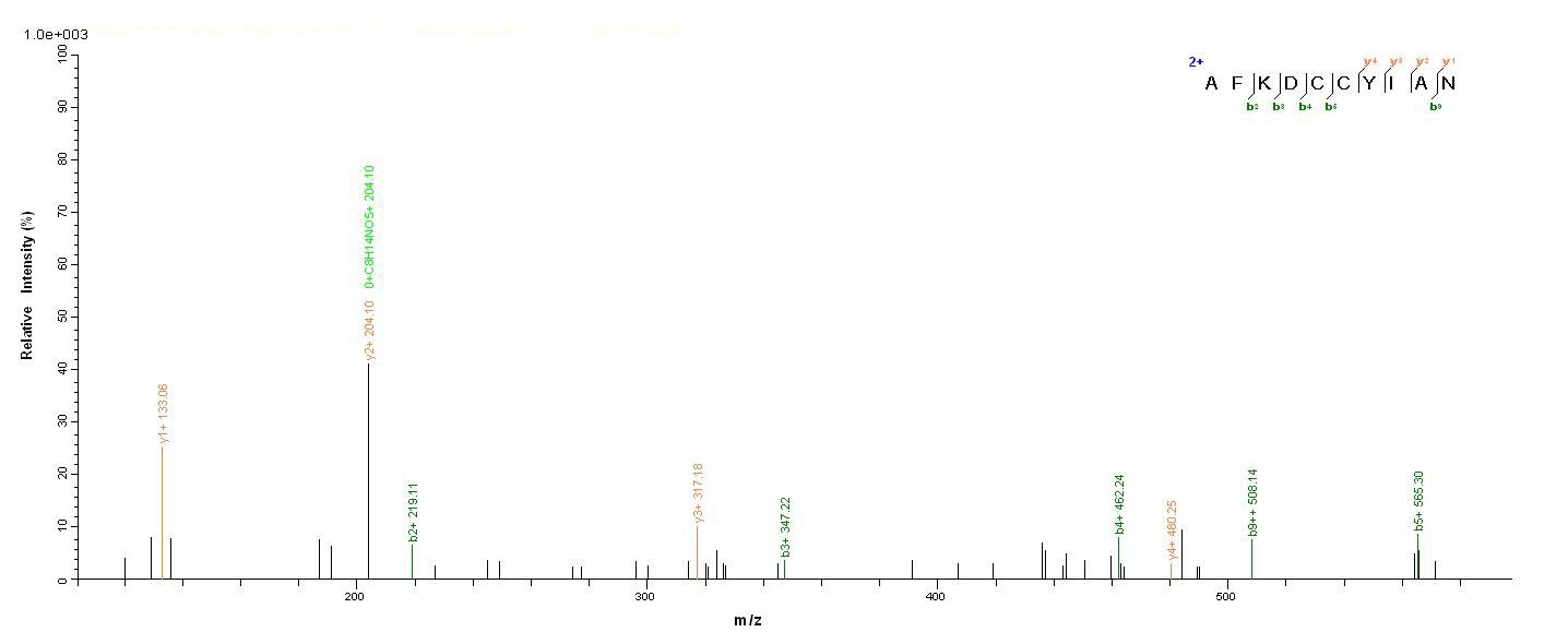 Pig C5 protein