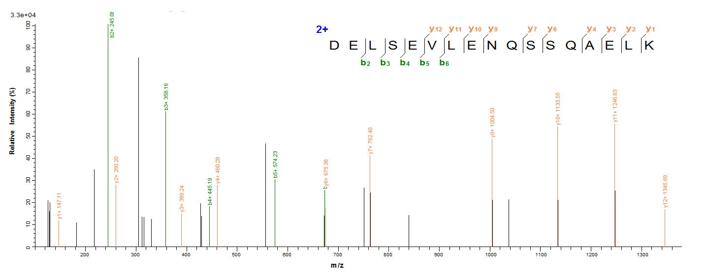 Human CHGA protein