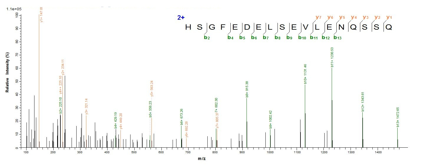 Human CHGA protein