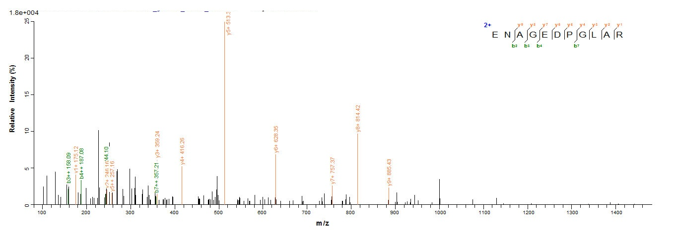 Human Dermcidin protein