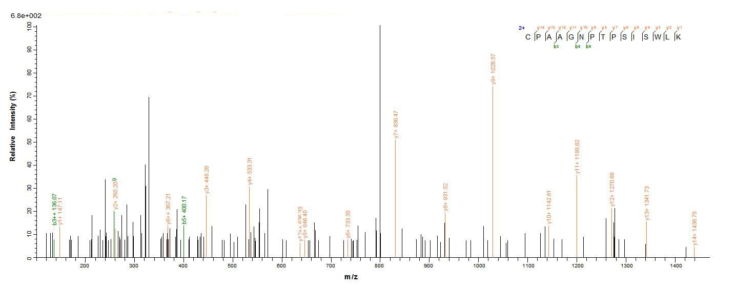 Human FGFR3 protein