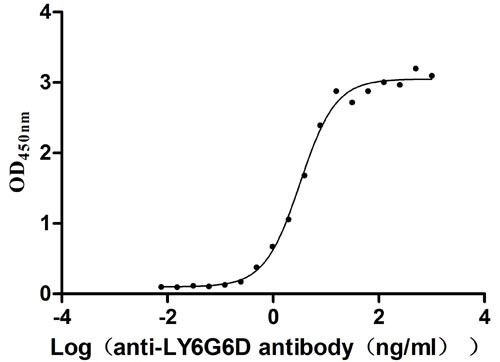Human LY6G6D protein