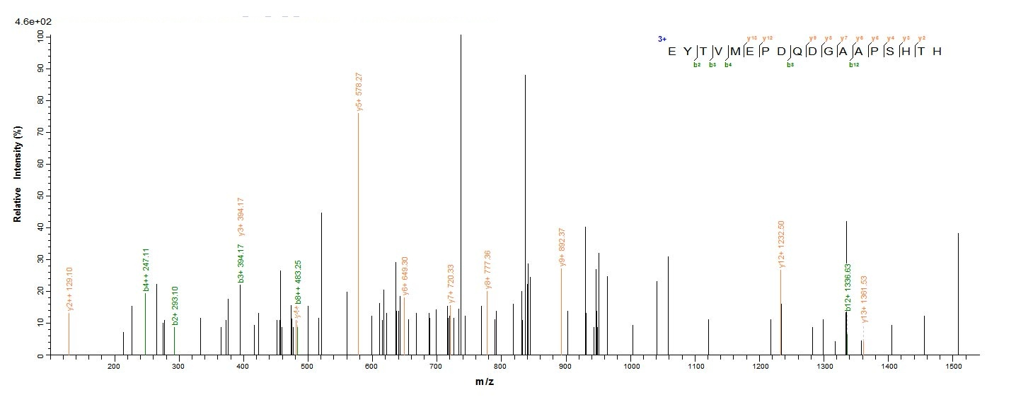 Mouse Nid1 protein
