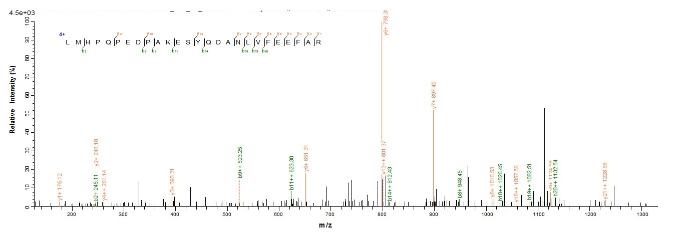 Human SAG protein