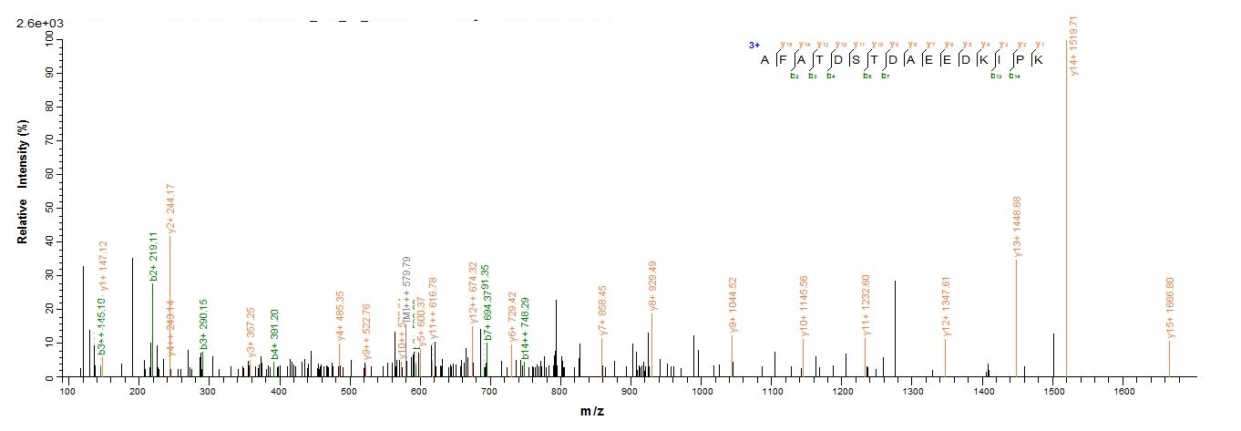 Human SAG protein