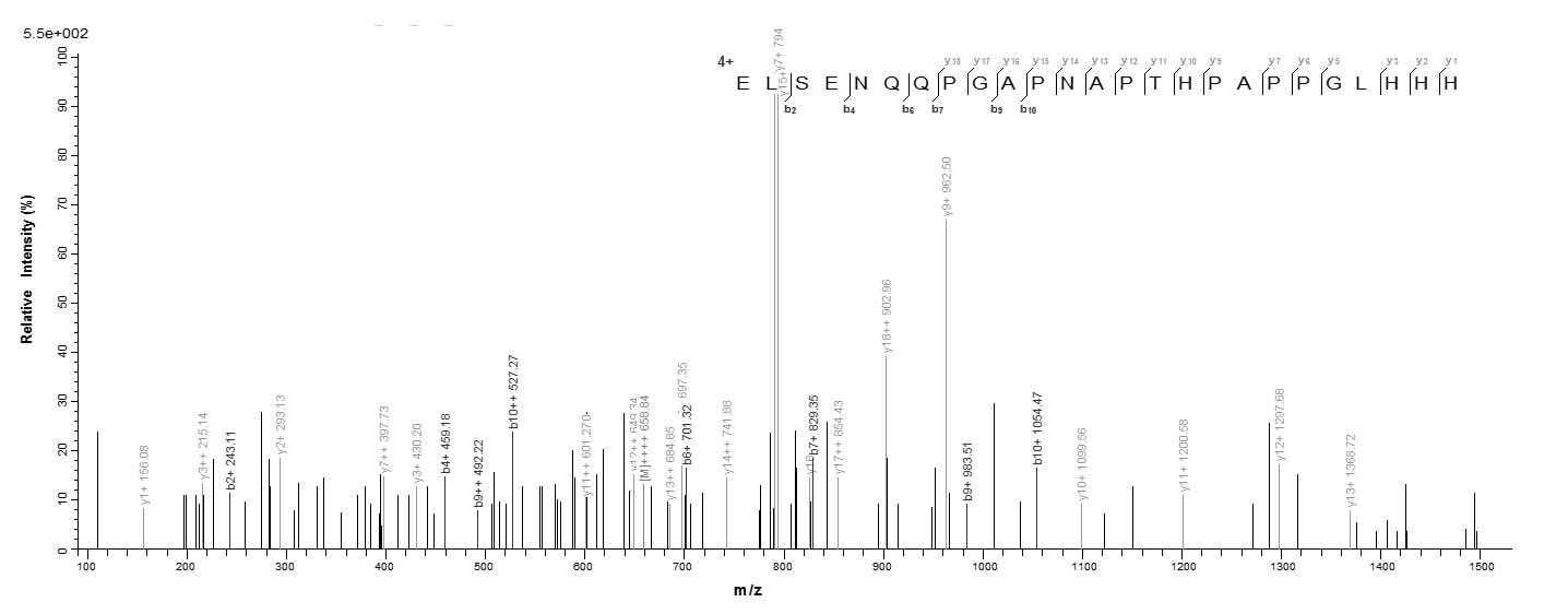 Human SEPP1 protein
