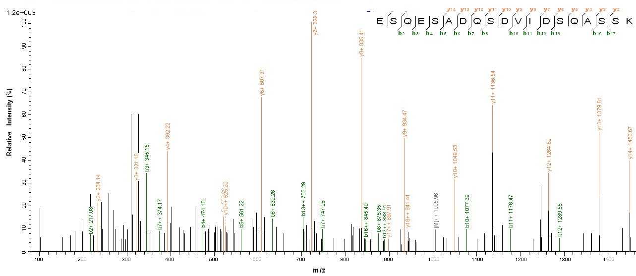 Mouse Osteopontin protein