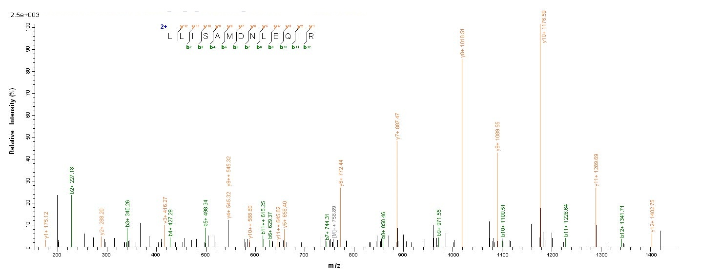 Pig TCN1 protein