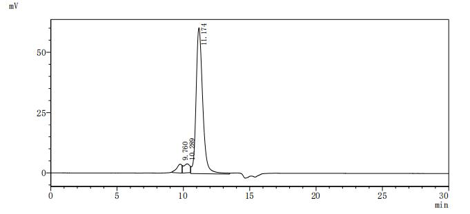 Human TLR8 protein