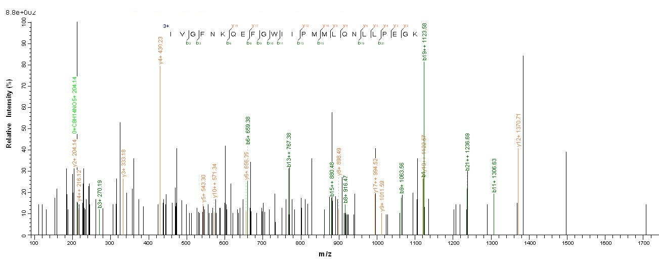 Mouse Ces1c protein