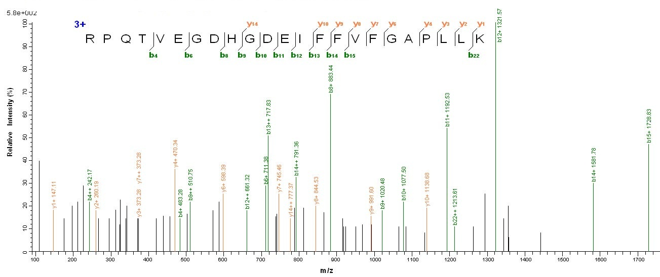Mouse Ces1c protein