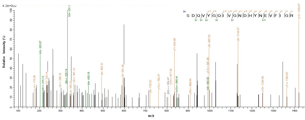 Yeast rgpA protein
