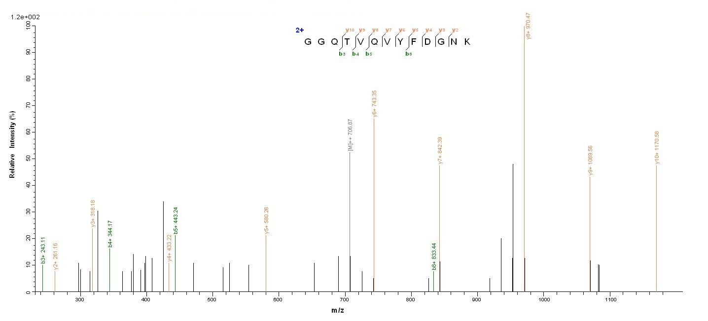 Human E2 protein