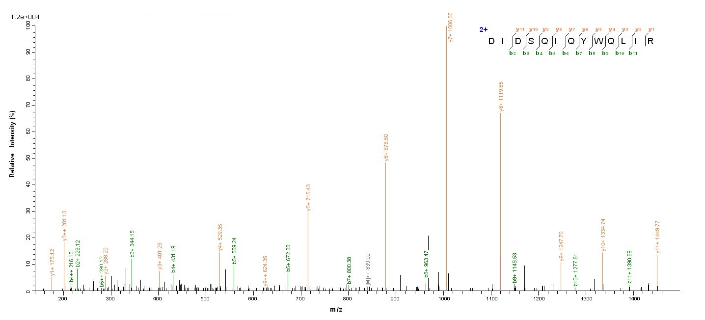Human E2 protein