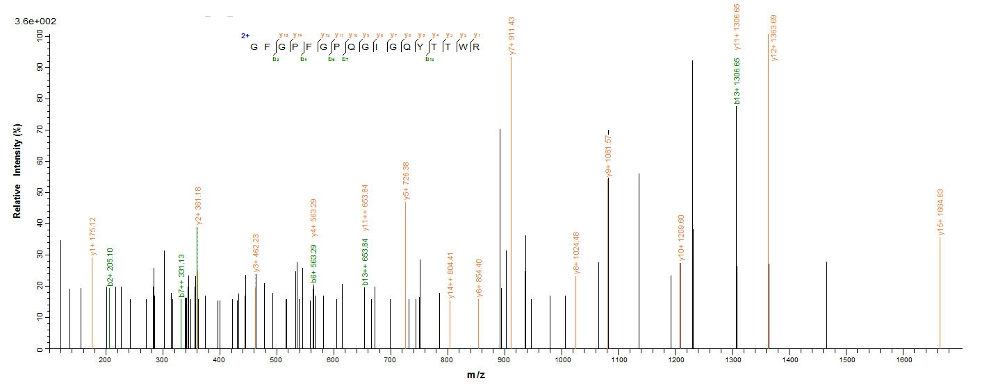 E. coli hph protein