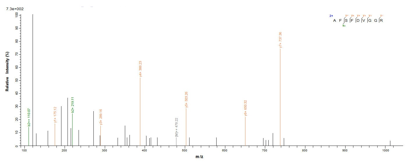 E. coli hph protein