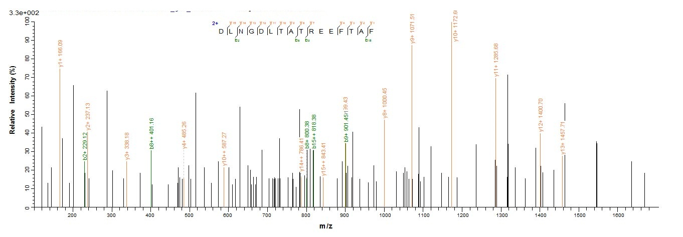 Human RCN1 protein