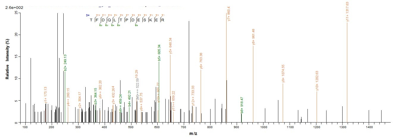 Human RCN1 protein
