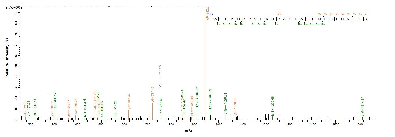 Human PTK7 protein