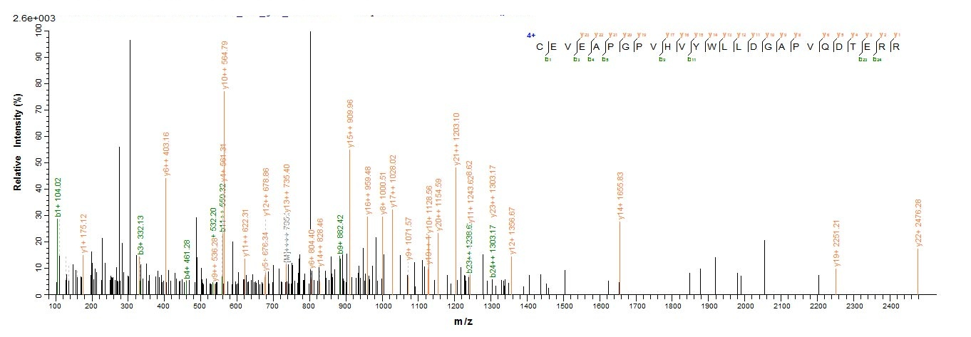 Human PTK7 protein