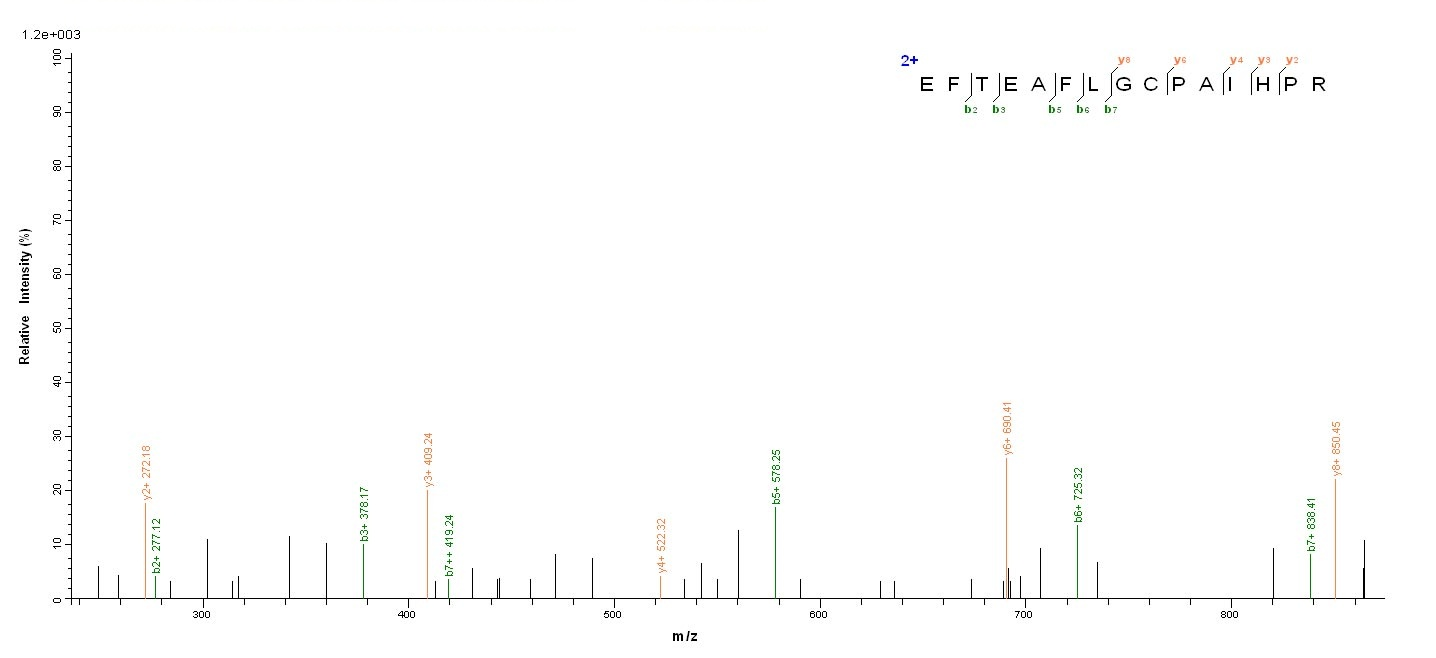 Human PGLYRP2 protein