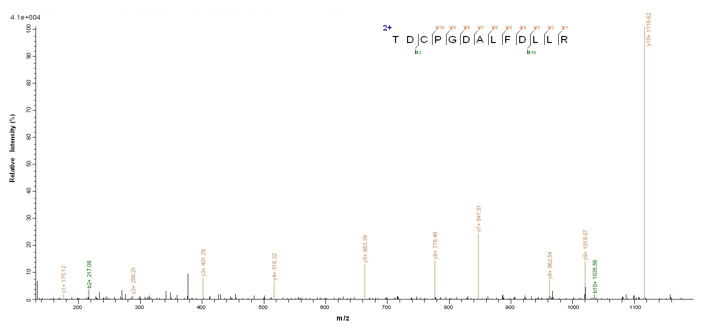 Human PGLYRP2 protein