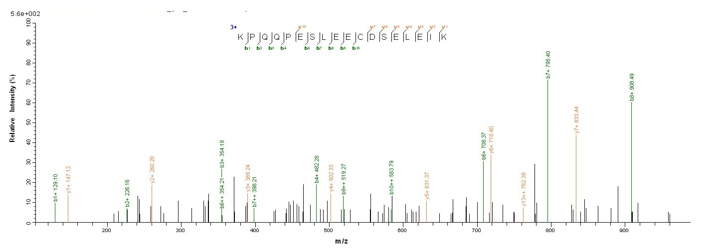 E.coli BZLF1 protein