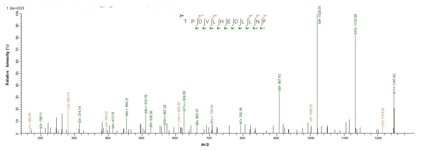 E.coli BZLF1 protein