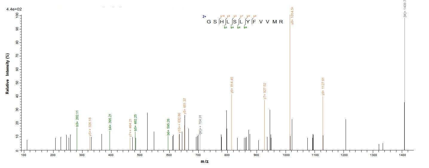 Human TRAF5 protein