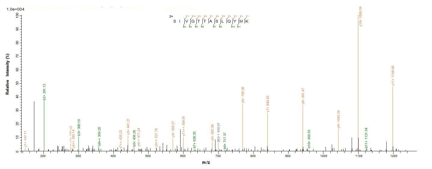 E.coli botA protein