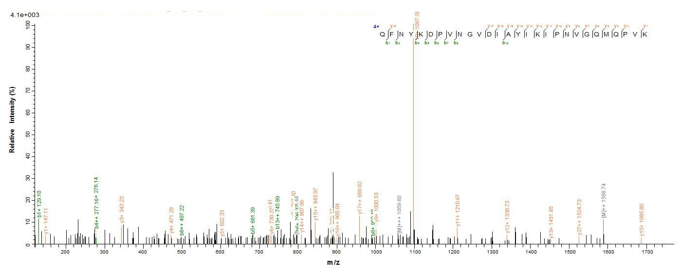 E.coli botA protein