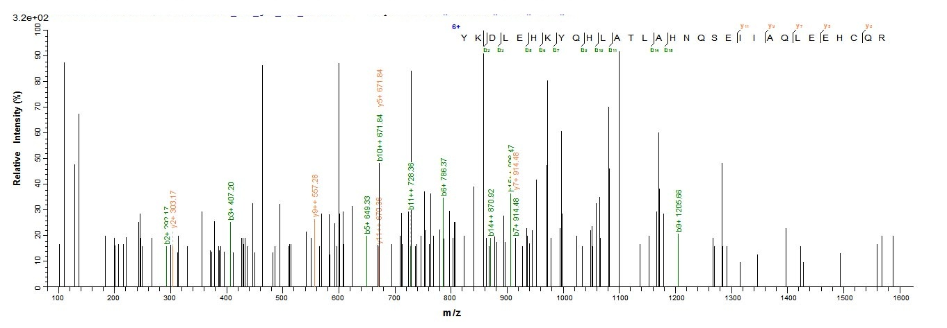 E.coli ANGPTL2 protein