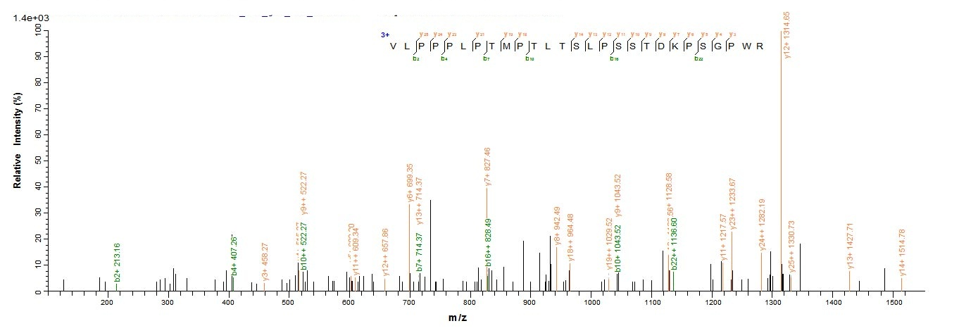 E.coli ANGPTL2 protein
