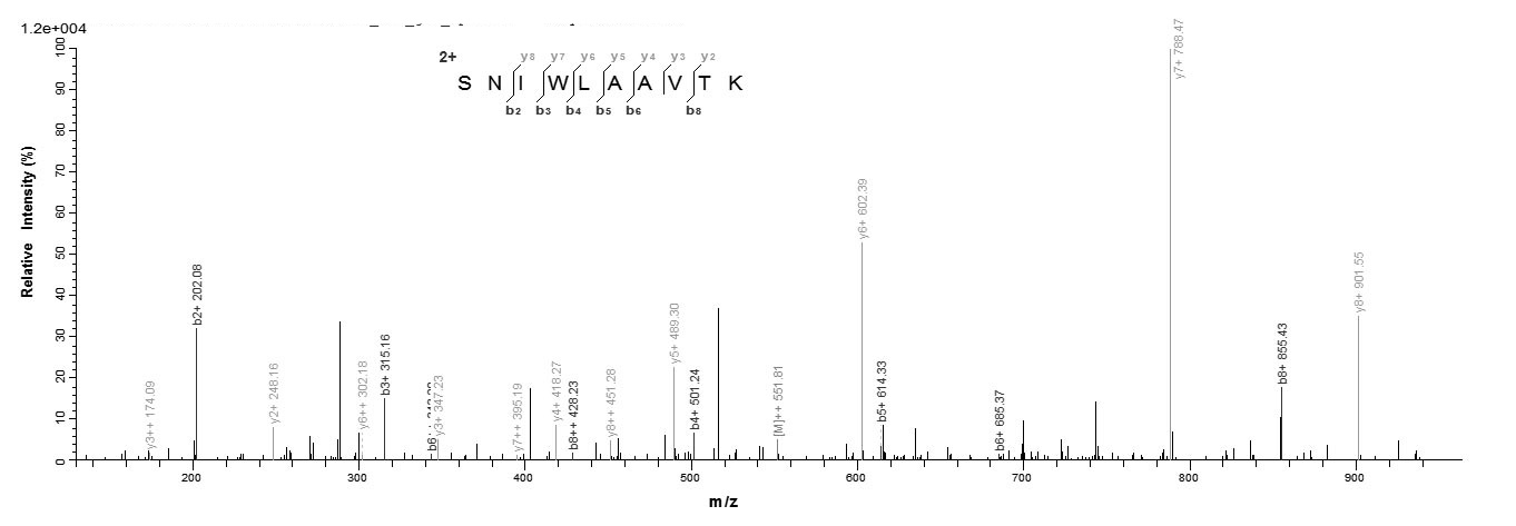 Human AP2M1 protein