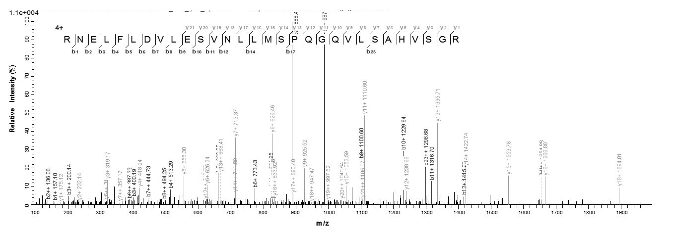 Human AP2M1 protein