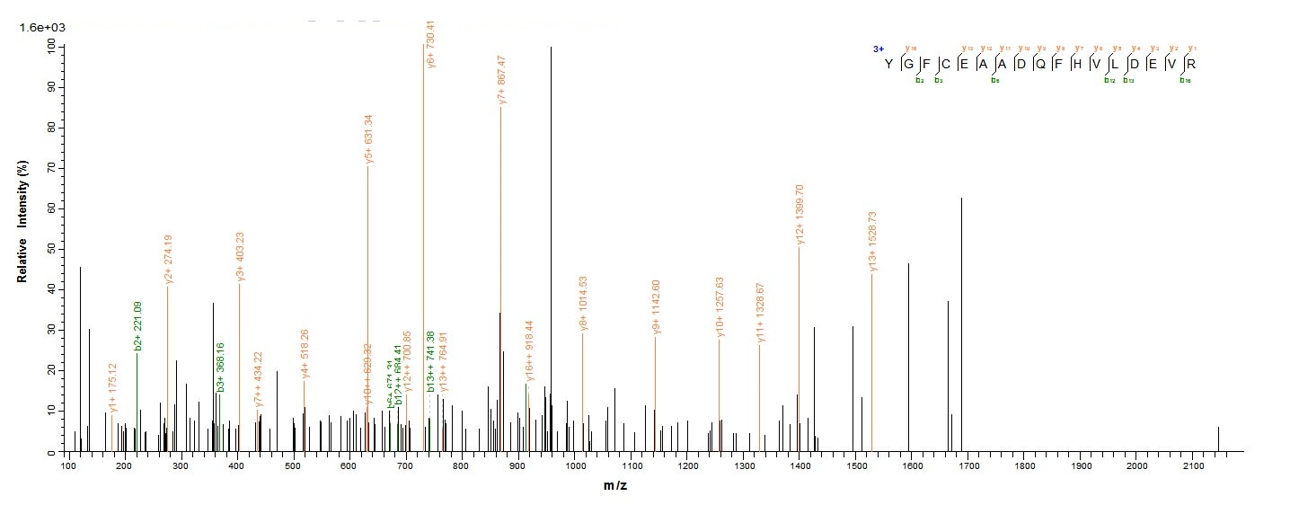 Human C8G protein