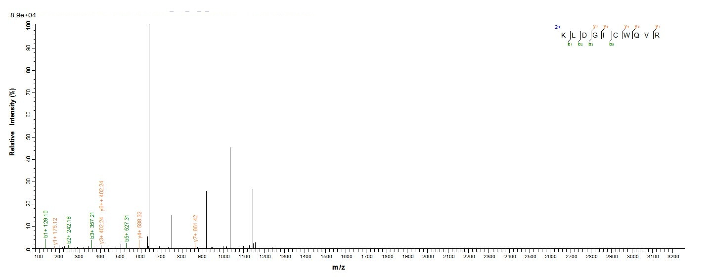 Human C8G protein